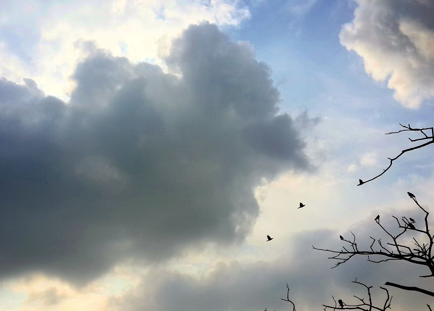 I Love Taking Pictures Of The Sky