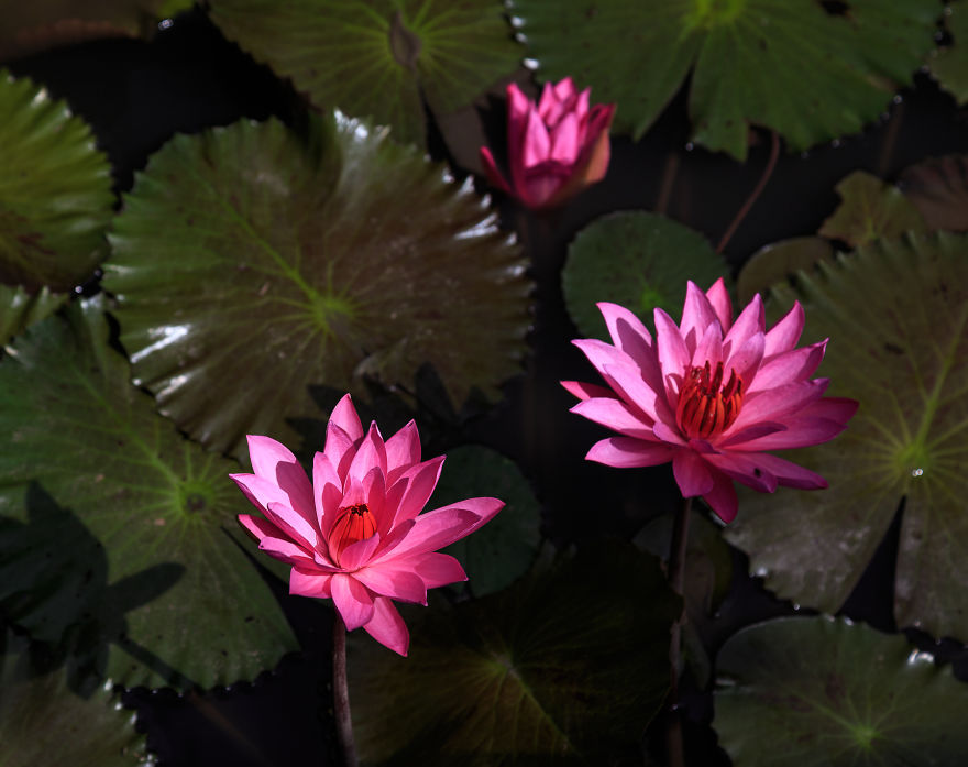 I've Discovered The Most Romantic Place From Bali