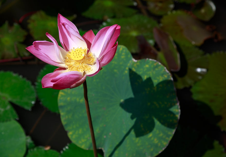 I've Discovered The Most Romantic Place From Bali I've Discovered The Most Romantic Place From Bali