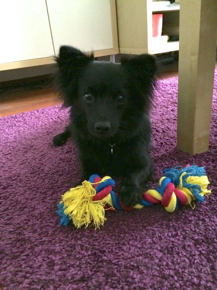 Before Vs.after Bath