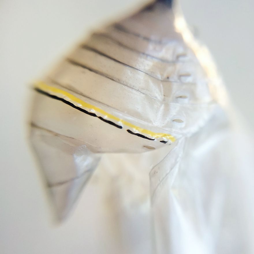 I Captured The Lifecycle Of A Monarch