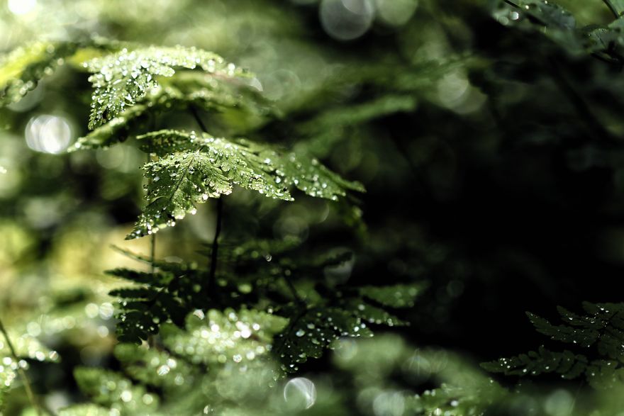 27 (Natural) Reasons Why You Shouldn't Visit This Specific Part Of Sweden