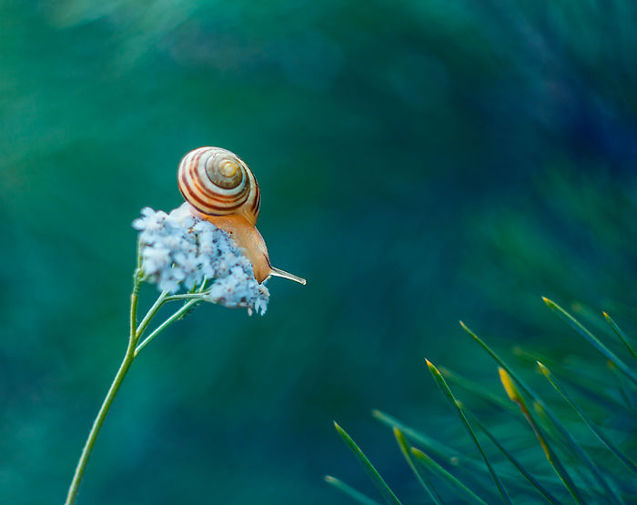 I Photograph The Beautiful Nature Of Poland I Photograph The Beautiful Nature Of Poland