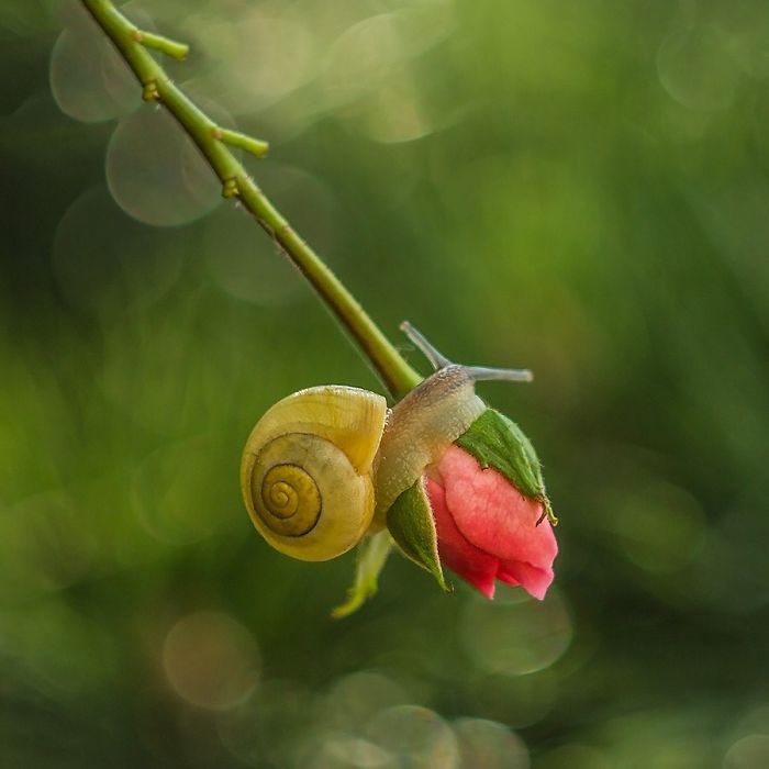 I Photograph The Beautiful Nature Of Poland