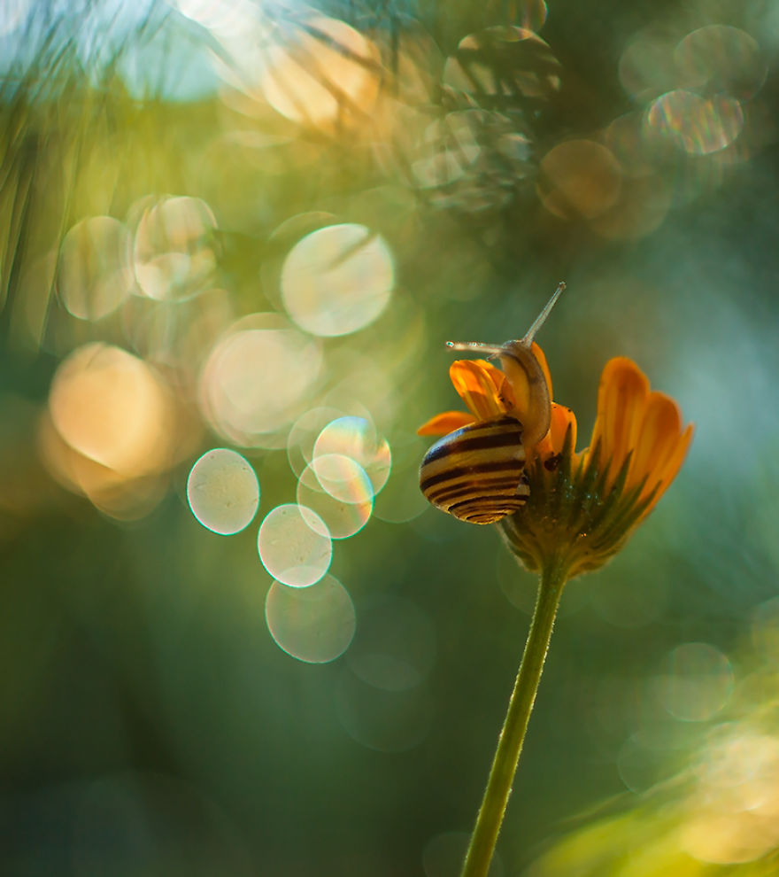 I Photograph The Beautiful Nature Of Poland