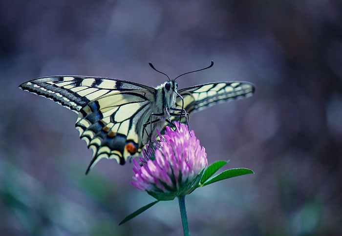 I Photograph The Beautiful Nature Of Poland