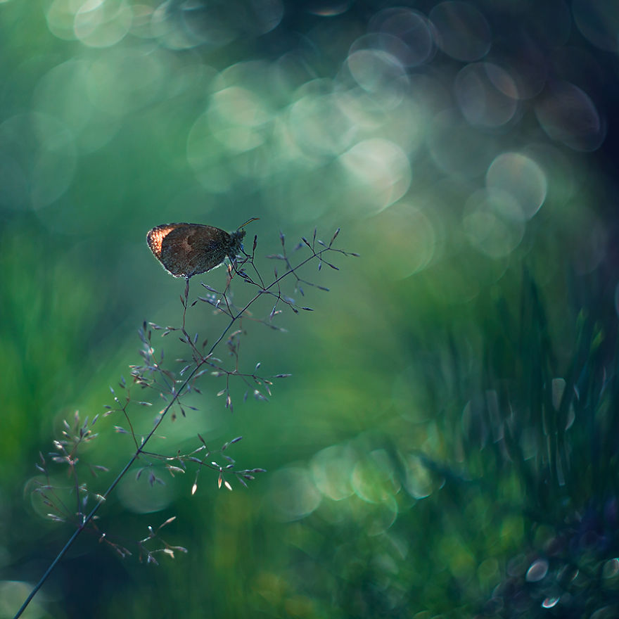 I Photograph The Beautiful Nature Of Poland