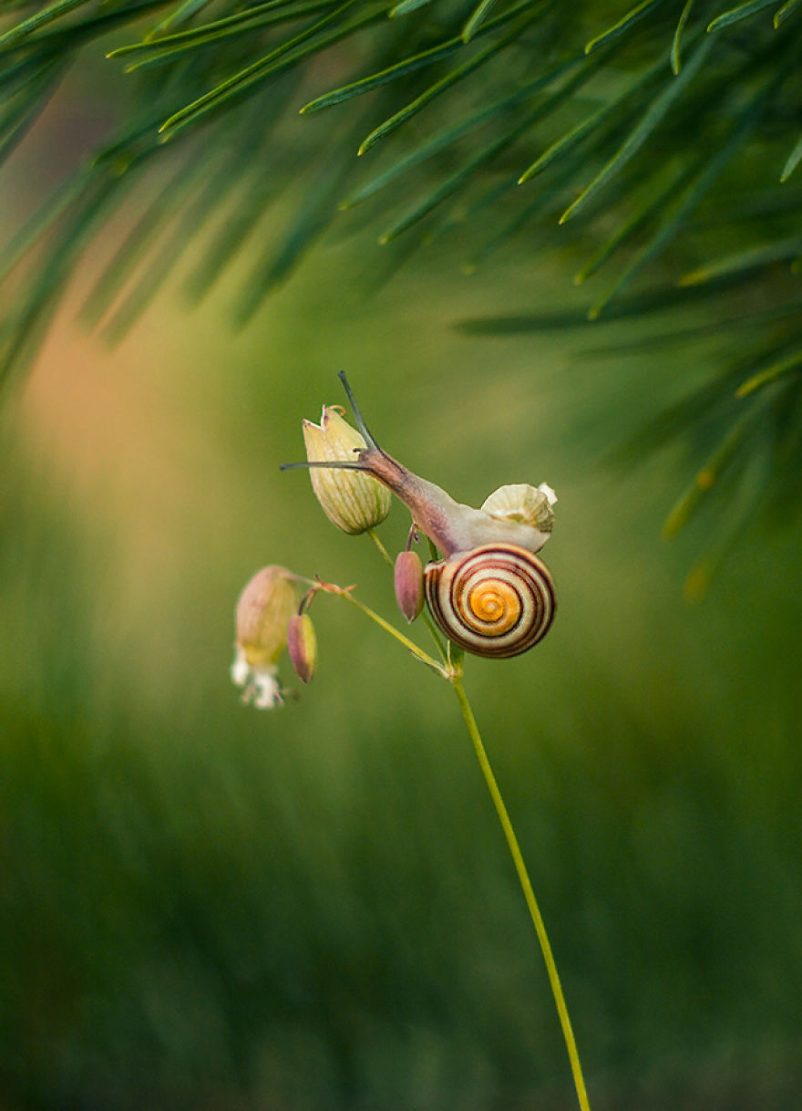 I Photograph The Beautiful Nature Of Poland