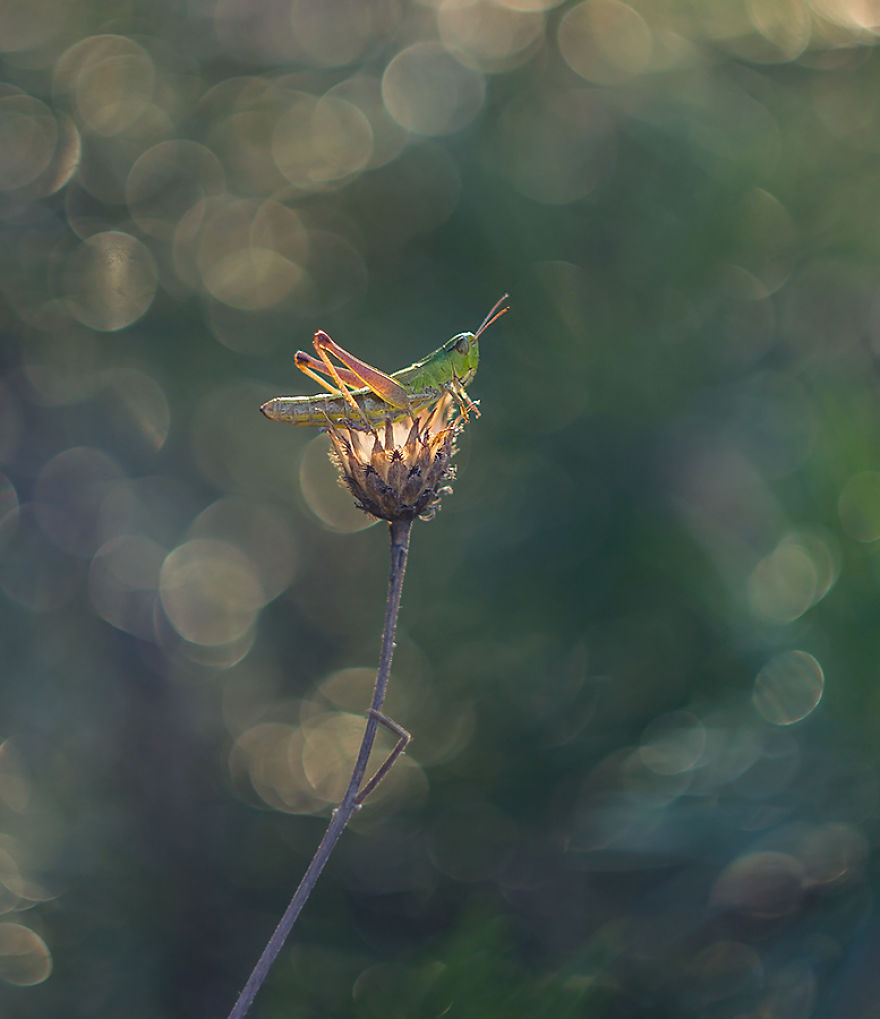 I Photograph The Beautiful Nature Of Poland