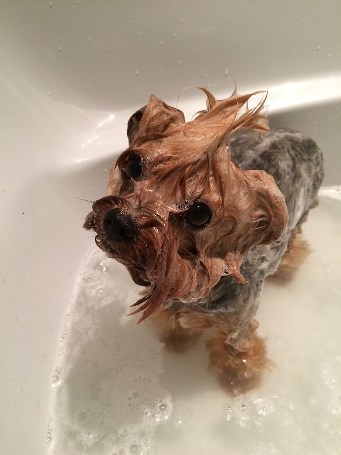 Before Vs. After Bath