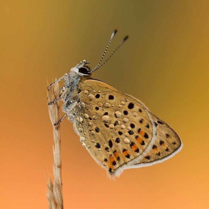 I Photograph The Beautiful Nature Of Poland