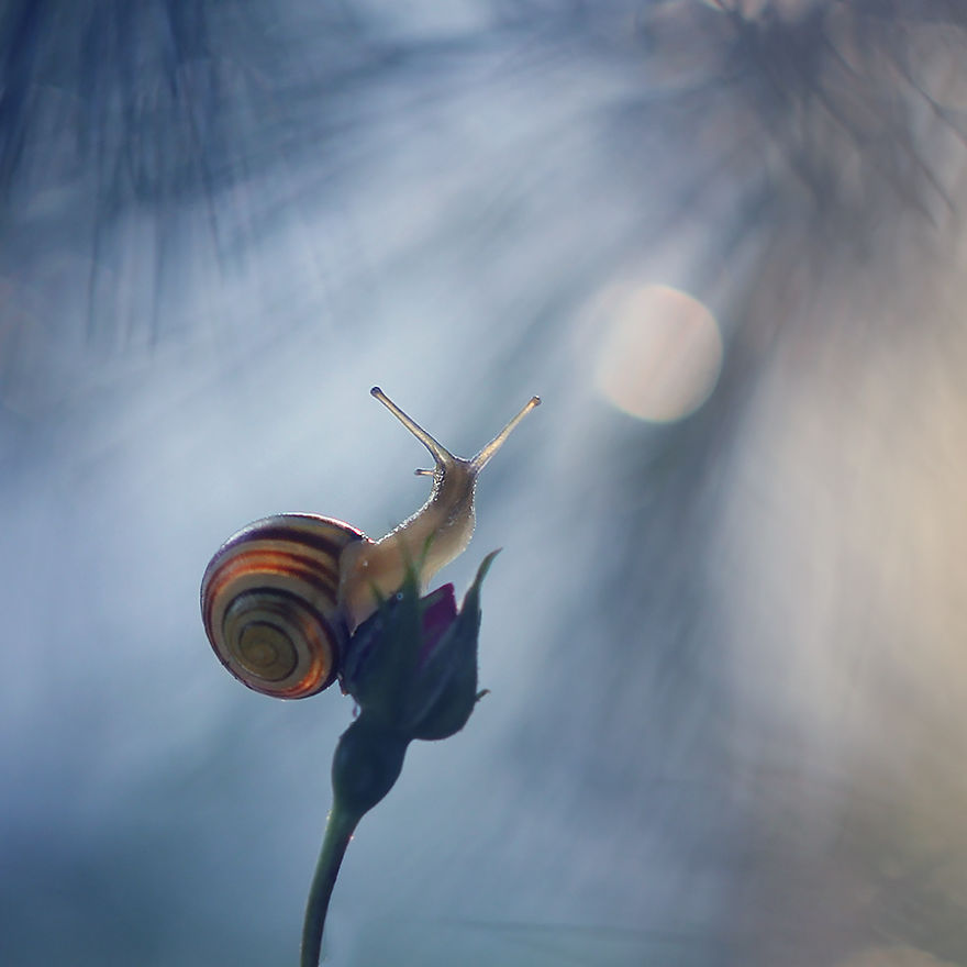 I Photograph The Beautiful Nature Of Poland