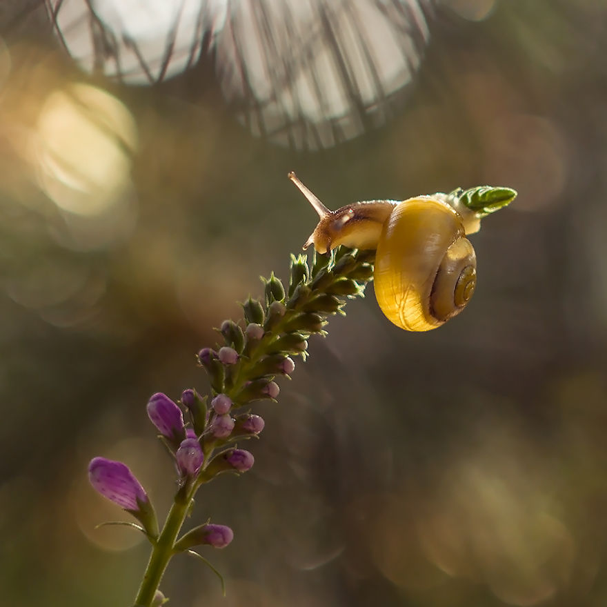 I Photograph The Beautiful Nature Of Poland