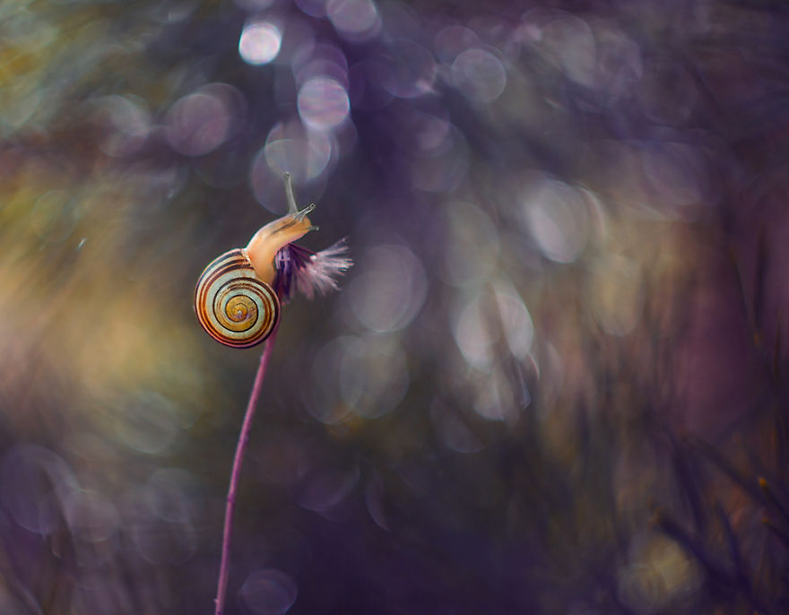 I Photograph The Beautiful Nature Of Poland