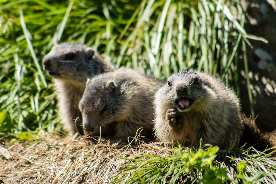 I Spent Three Weeks Exploring The European Alps To Bring Back These Photos. It Was Stunning! I Spent Three Weeks Exploring The European Alps To Bring Back These Photos. It Was Stunning!