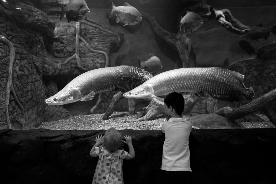 A Story About The Endless Love Between A Mother And Her Child A Story About The Endless Love Between A Mother And Her Child