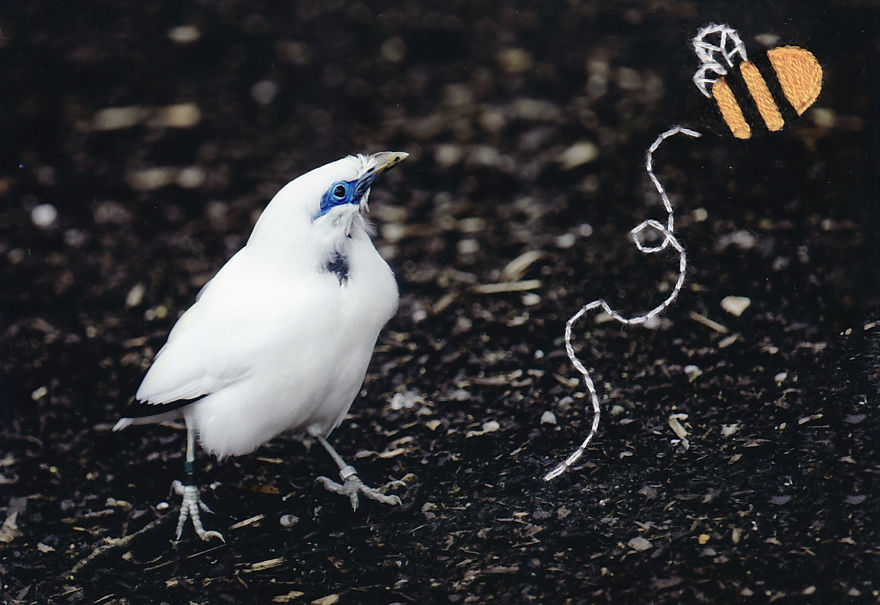 I Add An Extra Dimension To Photographs With Embroidery