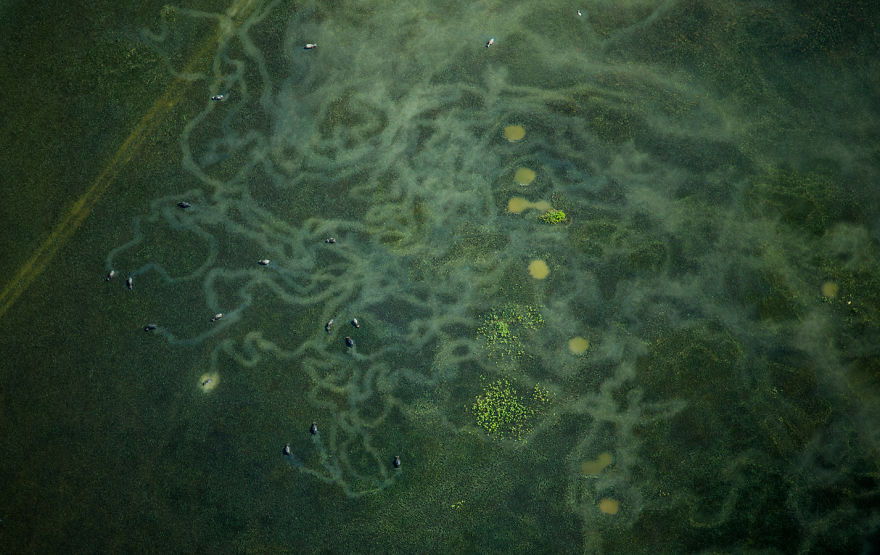 I'm A Bangladeshi Aviator And I Want To Show My Motherland From The Top