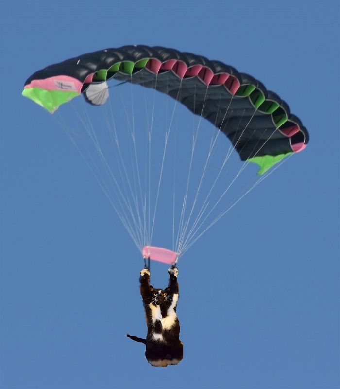 I Believe I Can Fly!