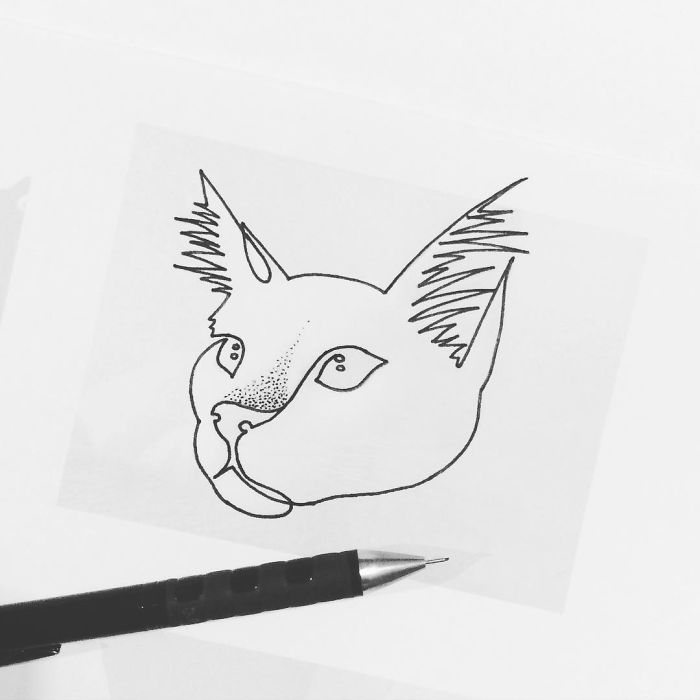 Minimal Art: Drawings Made With Just One Line