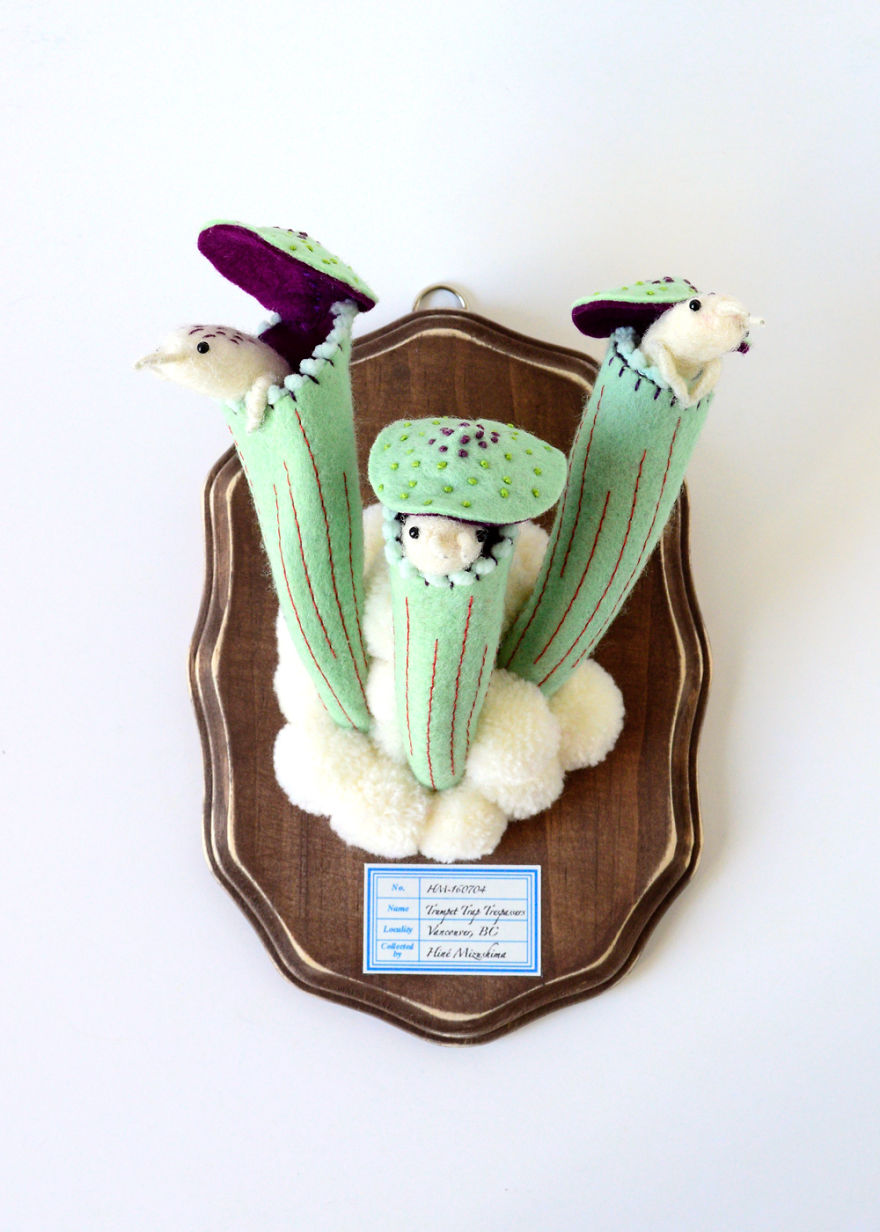 My Flora Insecta Series For Flora At Land Exhibition