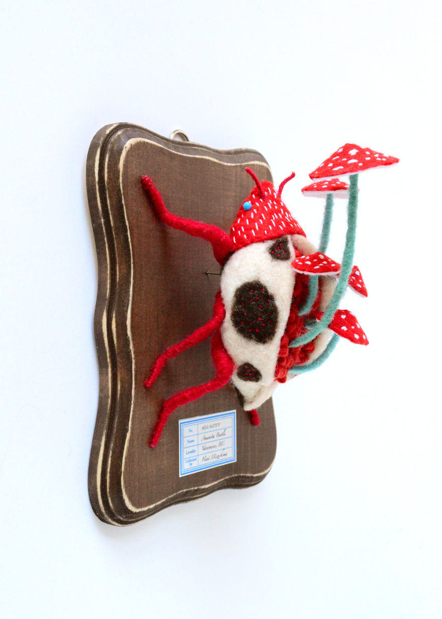 My Flora Insecta Series For Flora At Land Exhibition