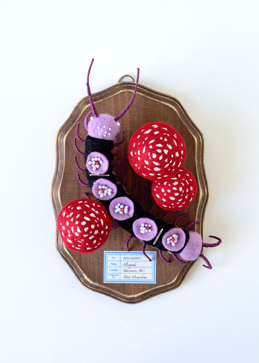 My Flora Insecta Series For Flora At Land Exhibition