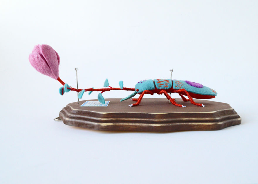 My Flora Insecta Series For Flora At Land Exhibition My Flora Insecta Series For Flora At Land Exhibition