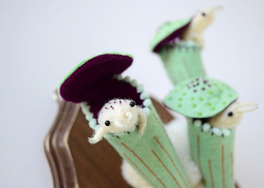 My Flora Insecta Series For Flora At Land Exhibition