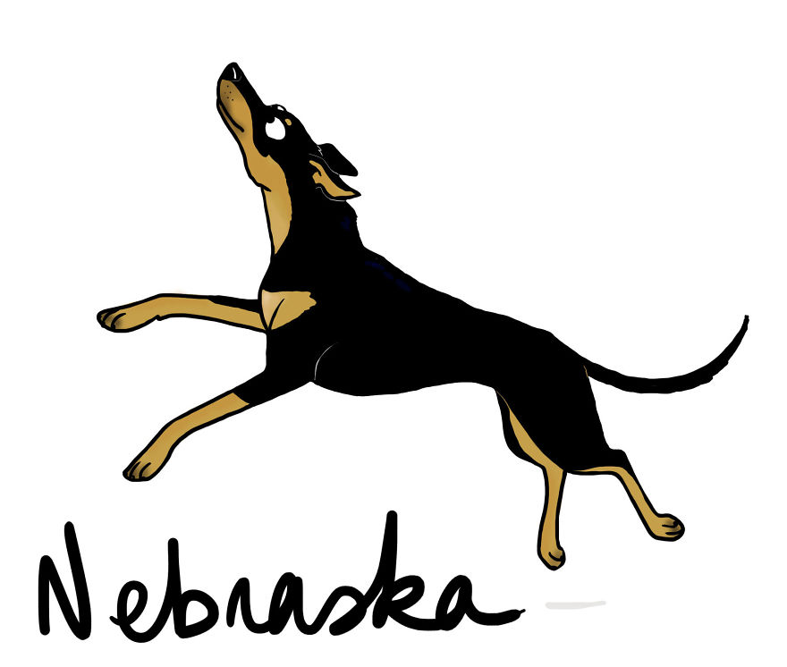 I Drew My Seven Dog Family I Drew My Seven Dog Family