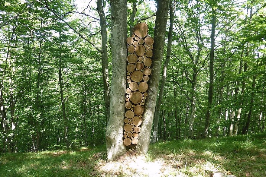 New Land Art Trail On Mt. Učka In Croatia New Land Art Trail On Mt. Učka In Croatia