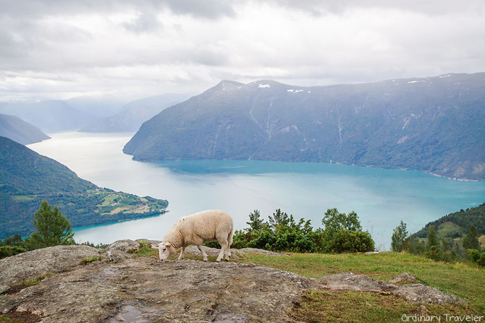 I Quit My Job To Travel The World And Found That No Other Country Compares To Norway