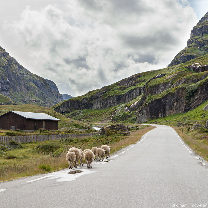 I Quit My Job To Travel The World And Found That No Other Country Compares To Norway
