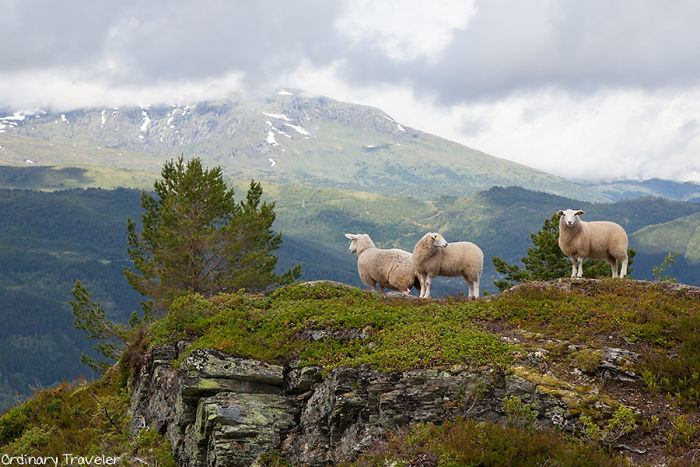 I Quit My Job To Travel The World And Found That No Other Country Compares To Norway