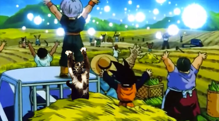 Gotta Save The Earth