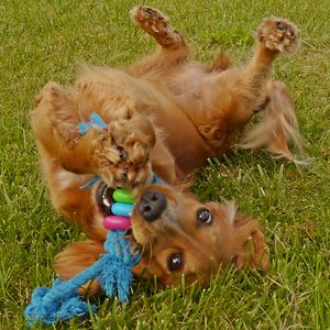 paulinasierzputowska avatar