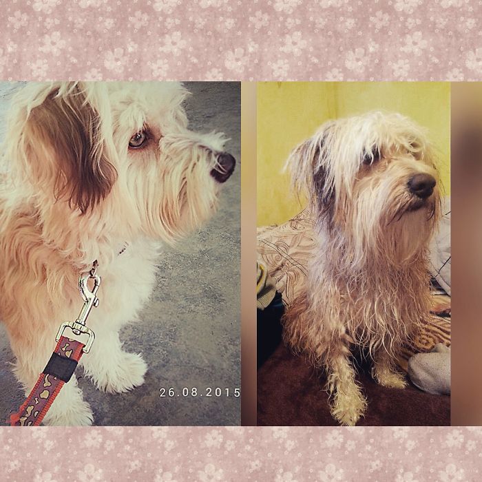 Petter Before And After Bath