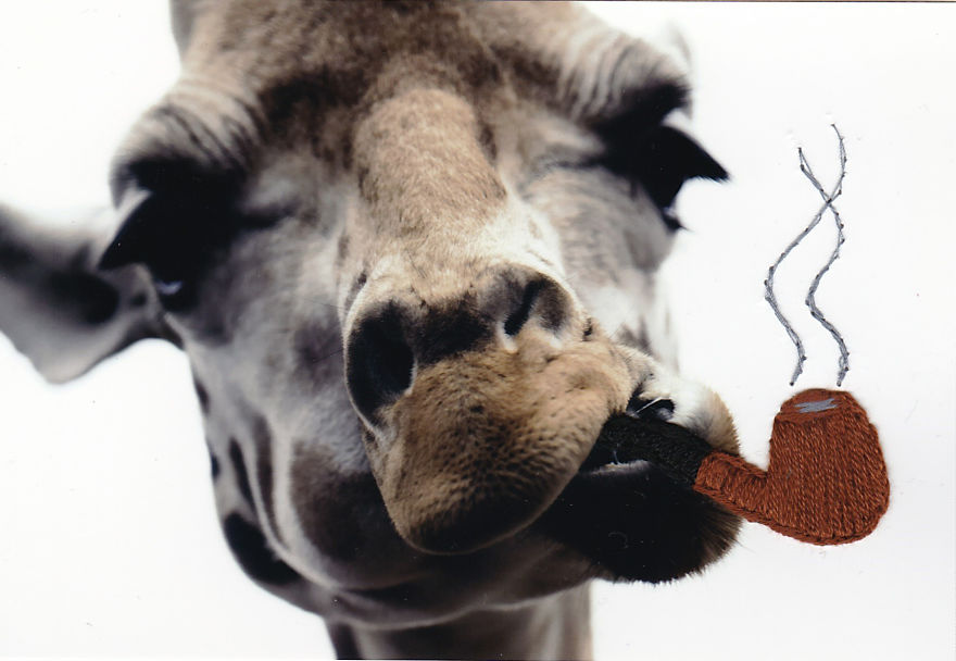 I Add An Extra Dimension To Photographs With Embroidery