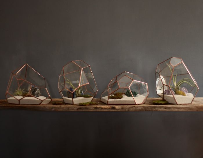 I Reimagined The Terrarium I Reimagined The Terrarium