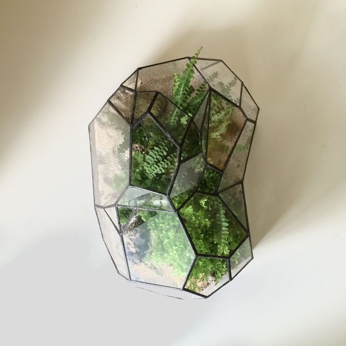 I Reimagined The Terrarium