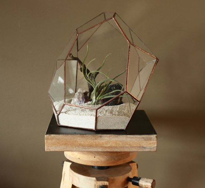 I Reimagined The Terrarium