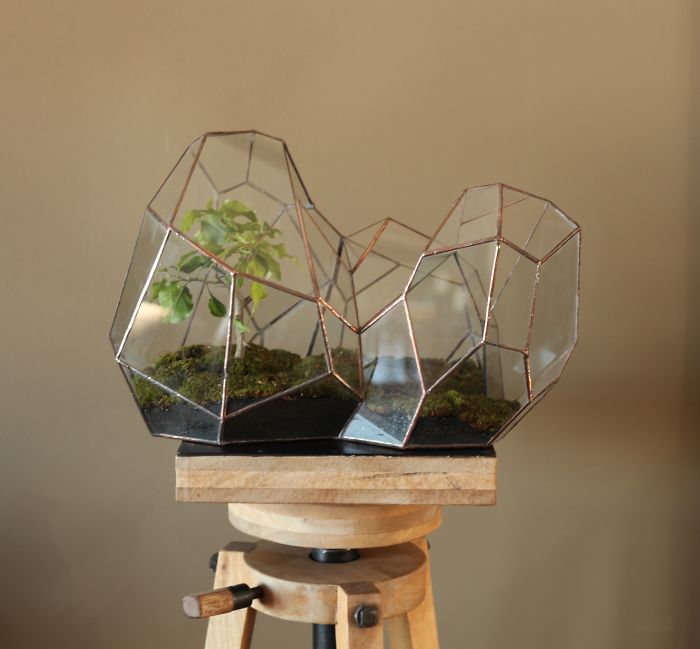 I Reimagined The Terrarium