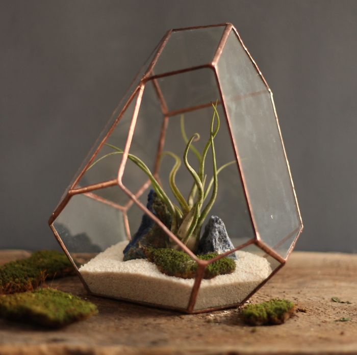 I Reimagined The Terrarium