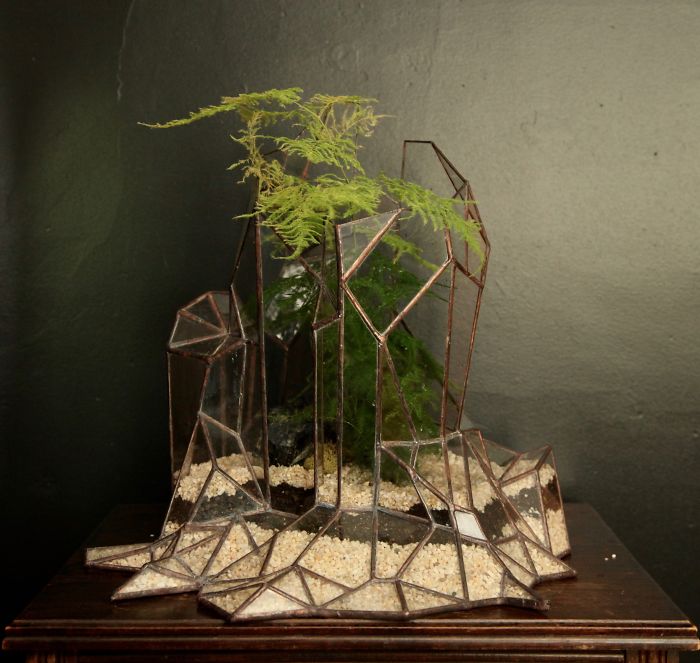 I Reimagined The Terrarium