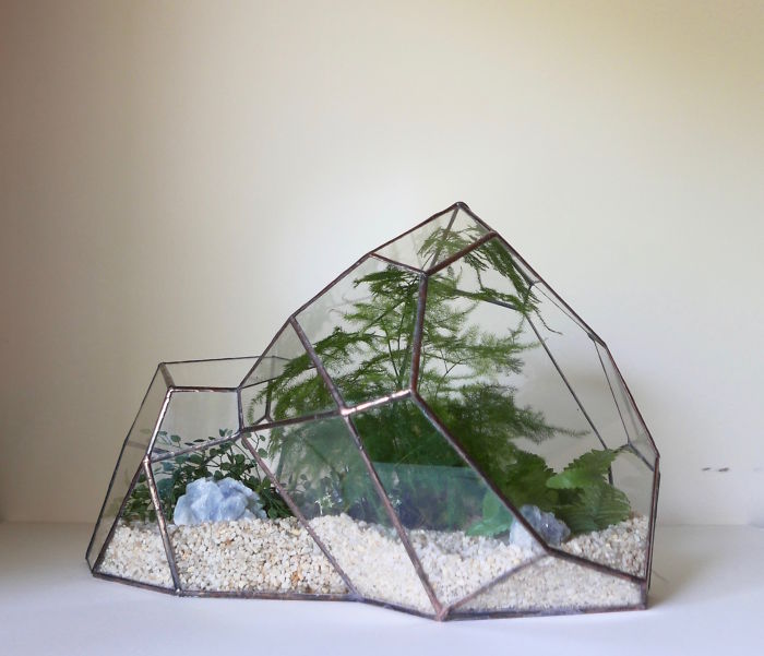 I Reimagined The Terrarium