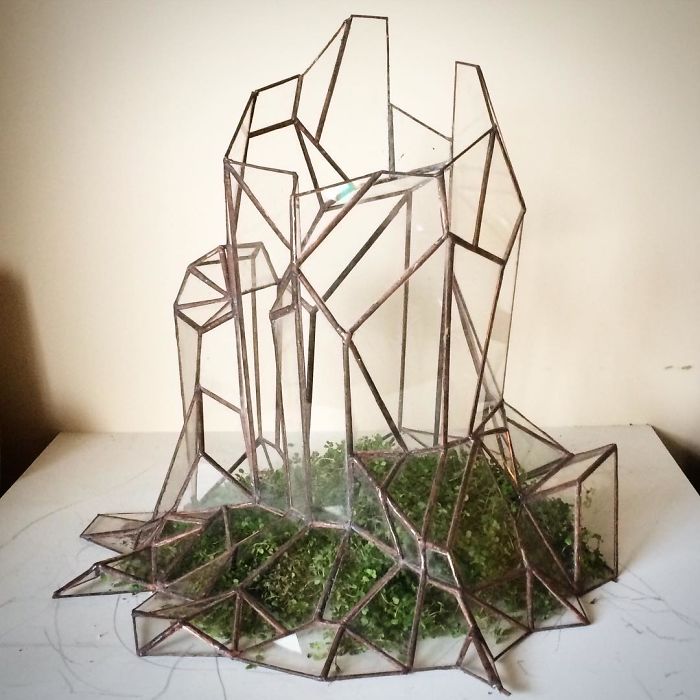 I Reimagined The Terrarium