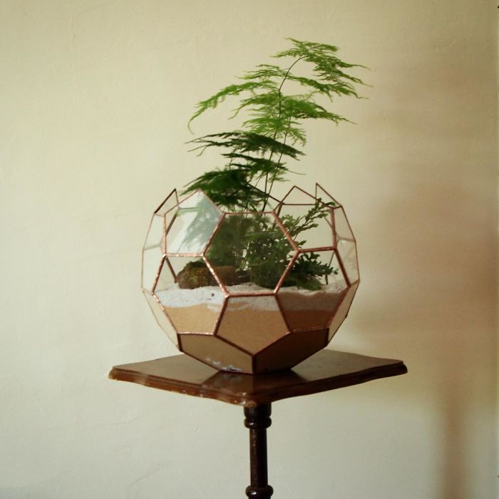 I Reimagined The Terrarium