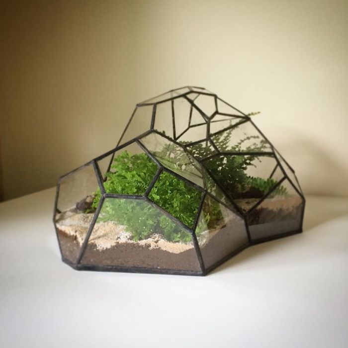 I Reimagined The Terrarium
