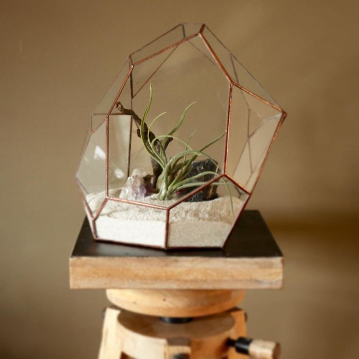 I Reimagined The Terrarium