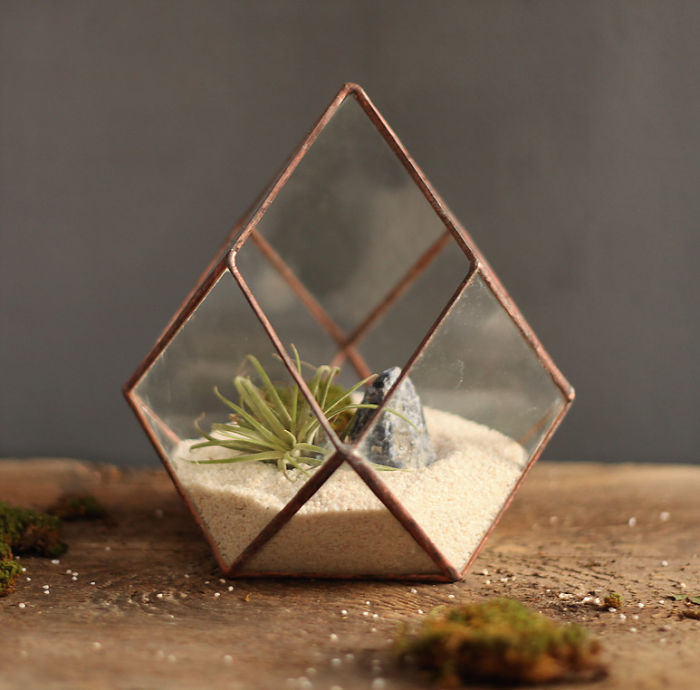 I Reimagined The Terrarium